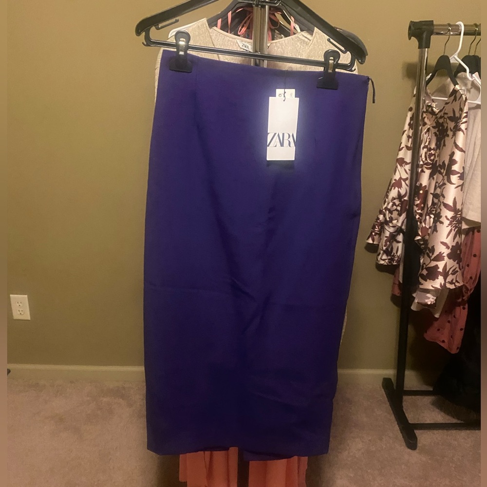 Zara High Waisted Skirt